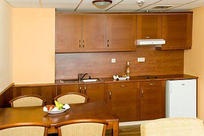 Hotel Airport Hotel Apartman 4* en el aeropuerto Liszt Ferenc - ✔️ Airport Hotel Budapest**** - Hotel de descuento con transporte gratuito desde el aeropuerto